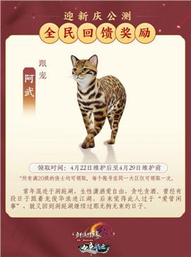 天龙八部私服宝宝命令